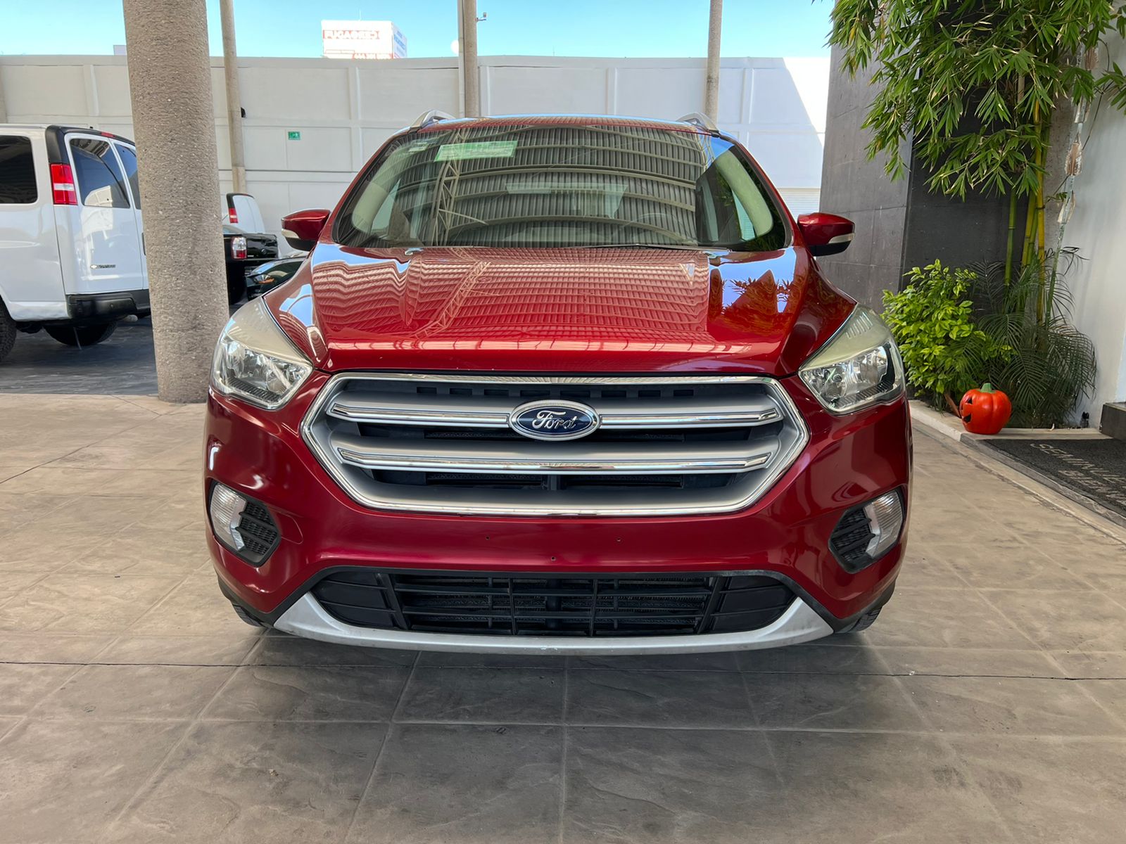 WhatsApp Image 2022-10-25 at 6.14.02 PM